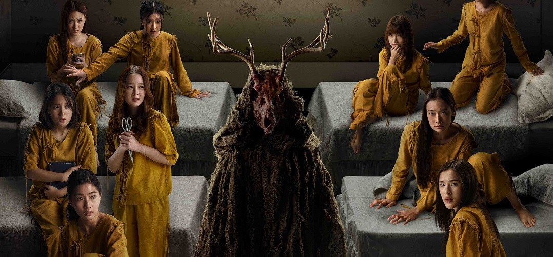 Anne Cô Gái Khuôn Mặt