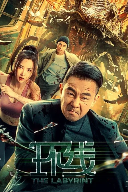 Vòng Lặp / Tuyến Đường Vòng